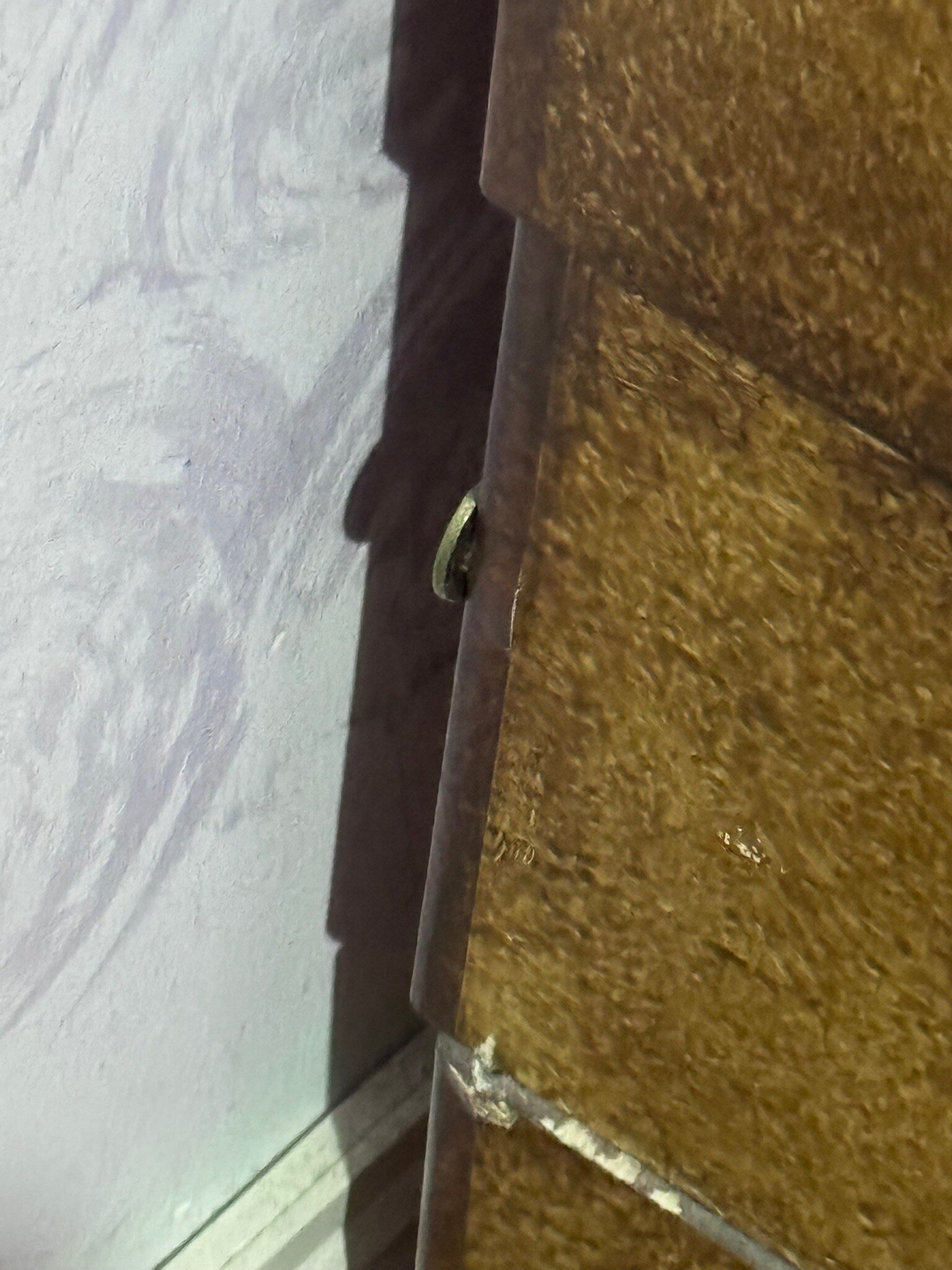 B&B Villa Dante-官方