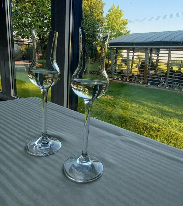 Diva Kacica Restaurant & Pension主图