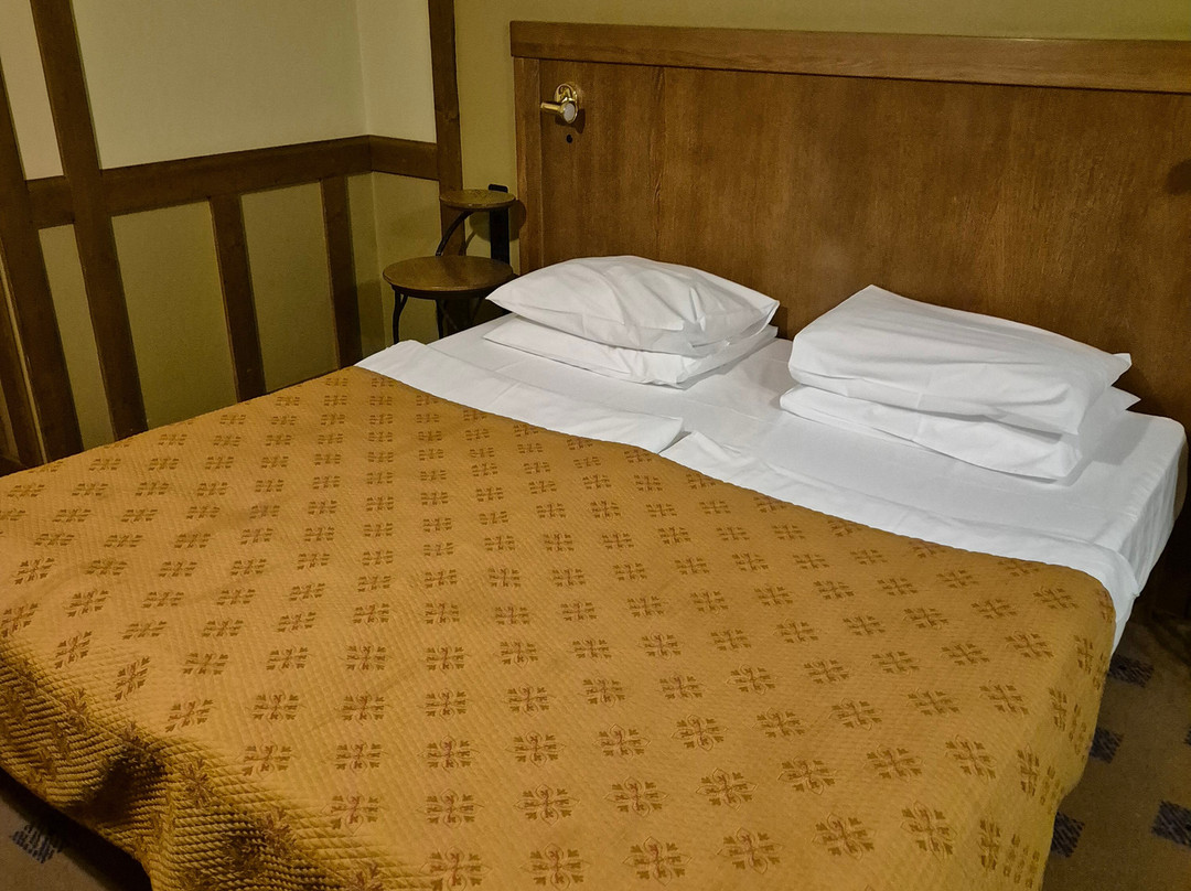 Best Baltic Hotel Druskininkai Central主图