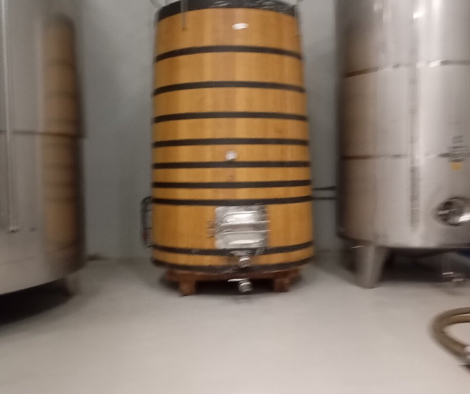 Nexus Valladolid Suites & Hotel主图