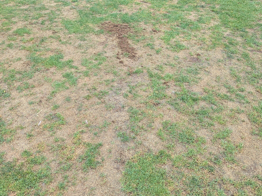 PineCrest Country Club - Golf Course-兰斯代尔必去景点