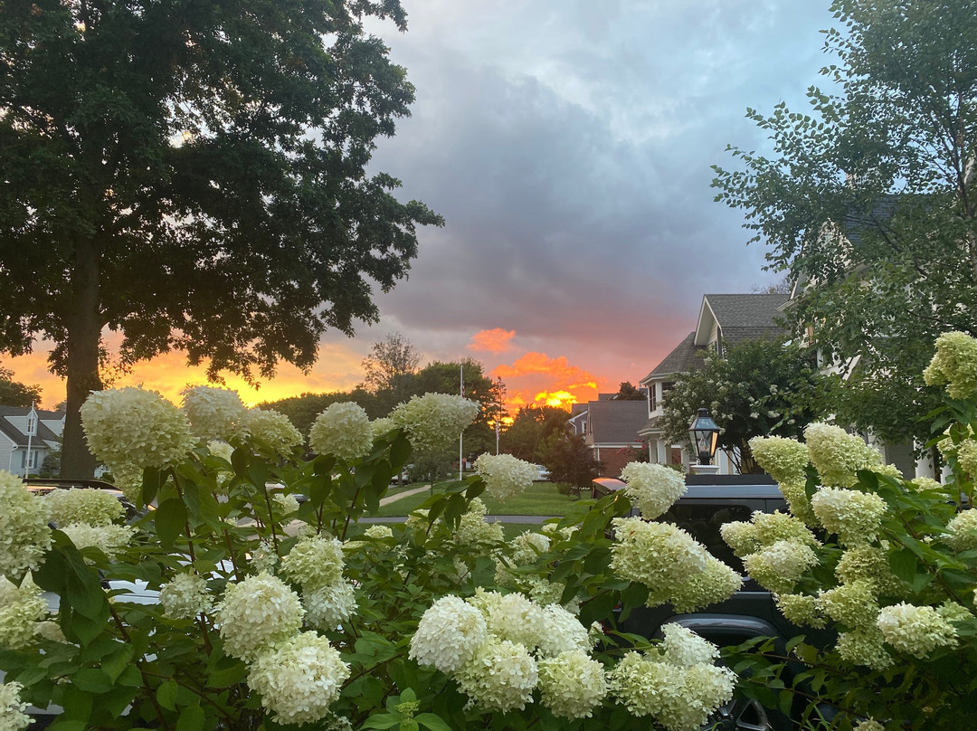 Nathaniel Morris Inn主图