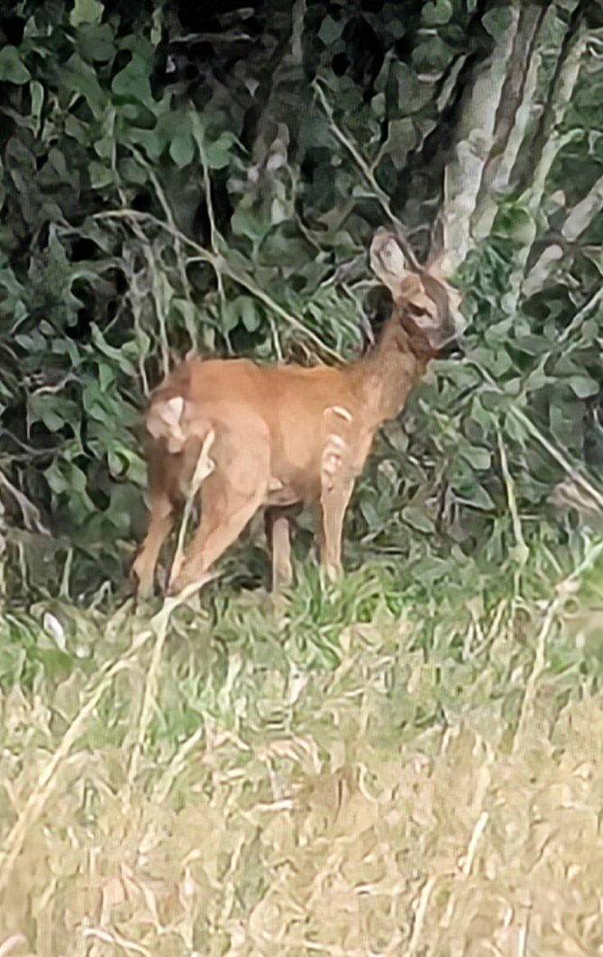 Park House Hotel & Spa-官方