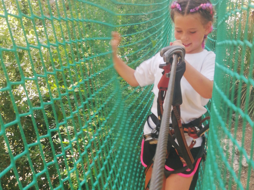 Jungle Trek-塔拉戈纳必去景点