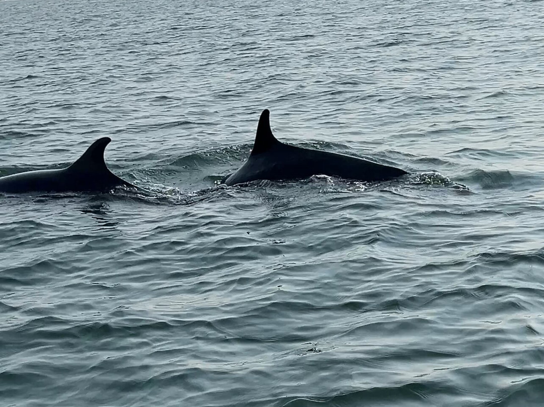 Westcoast Explore-Thyboron必去景点