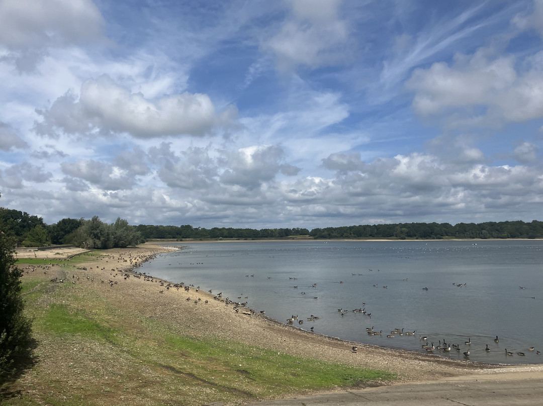 Arlington Reservoir and Nature Reserve-Polegate必去景点