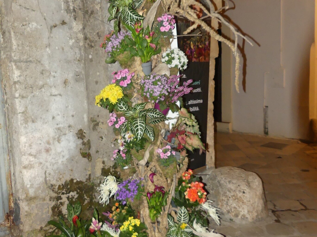 Leverano In Fiore-Leverano必去景点