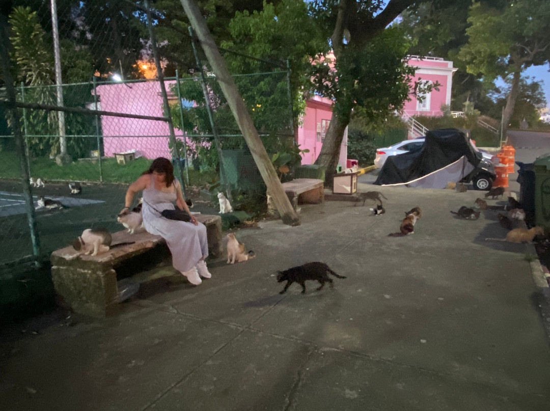 Castillo San Felipe del Morro-圣胡安必去景点