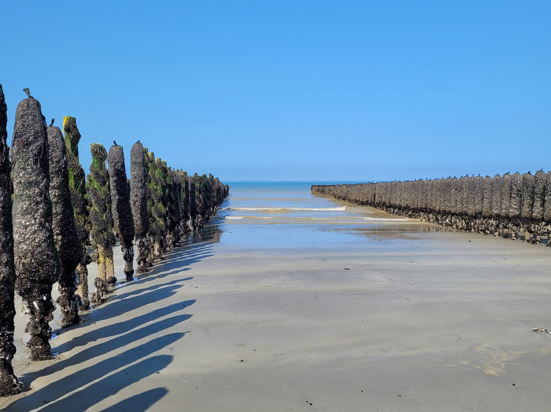 Norwoe Decouvertes-Saint-Quentin-en-Tourmont必去景点