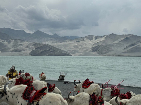 Kashgar Ancient Discovery Tours-喀什市必去景点