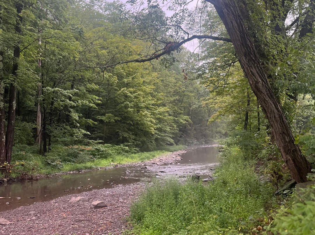 Angelo Canna Town Park-Cairo必去景点