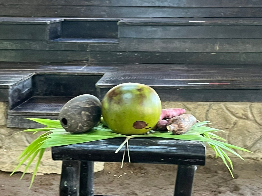 Arenal Vida Campesina-福德圣卡洛斯必去景点