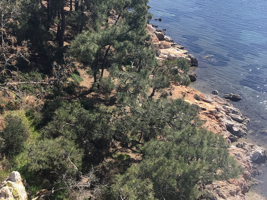 Seyir Terası-Ayvalik必去景点