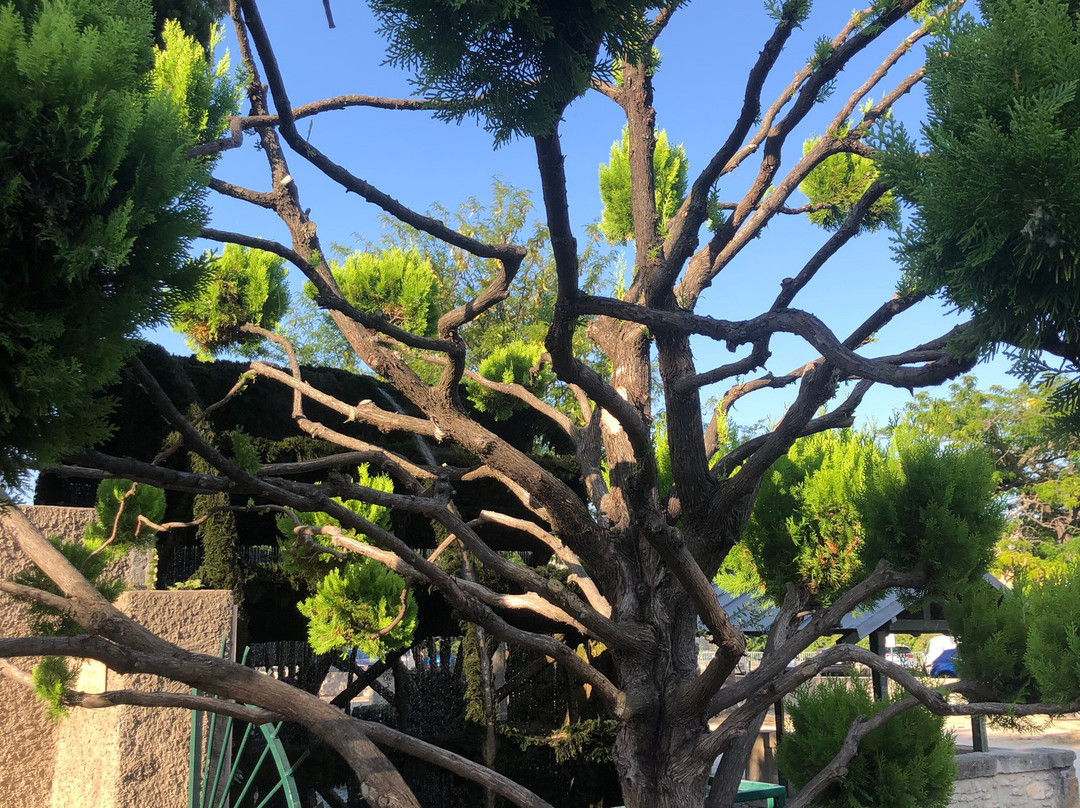 Provence Et Tourisme En E-bike-Saint Saturnin les Avignon必去景点