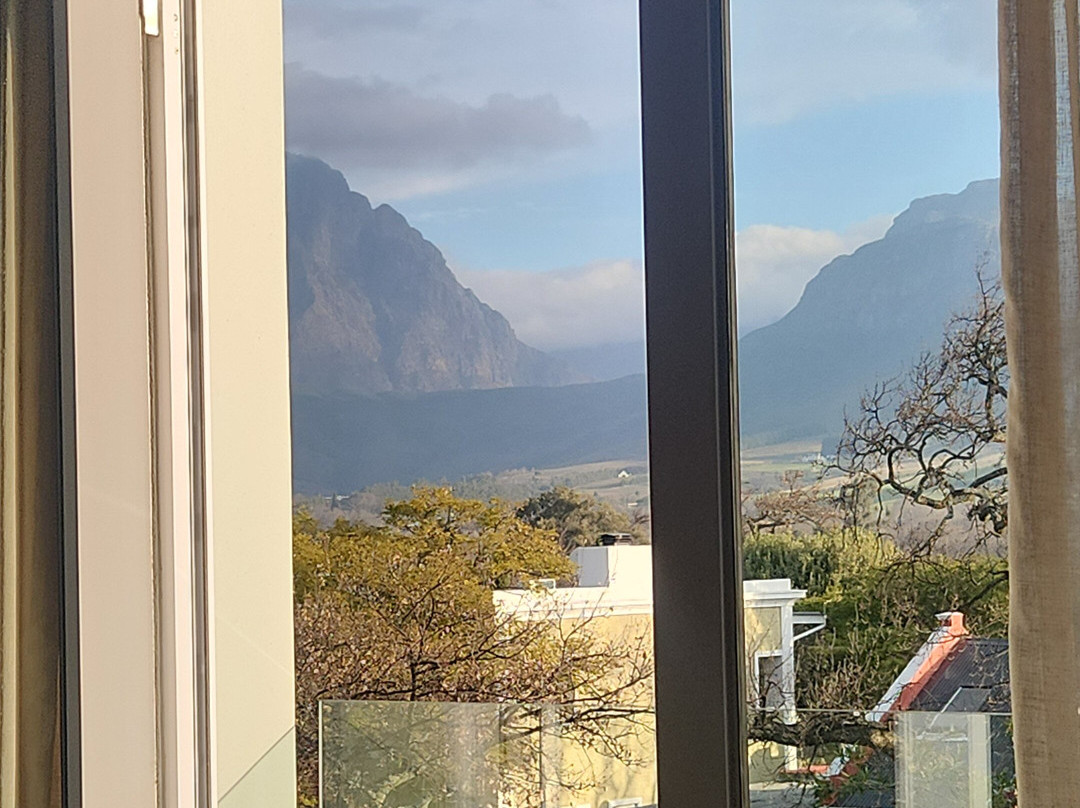 Franschhoek Boutique Hotel主图
