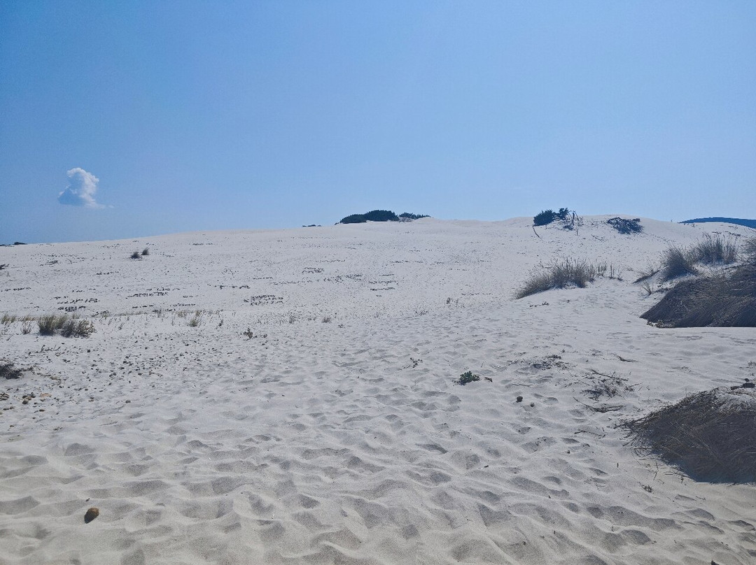 Le Dune Beach-Porto Pino必去景点
