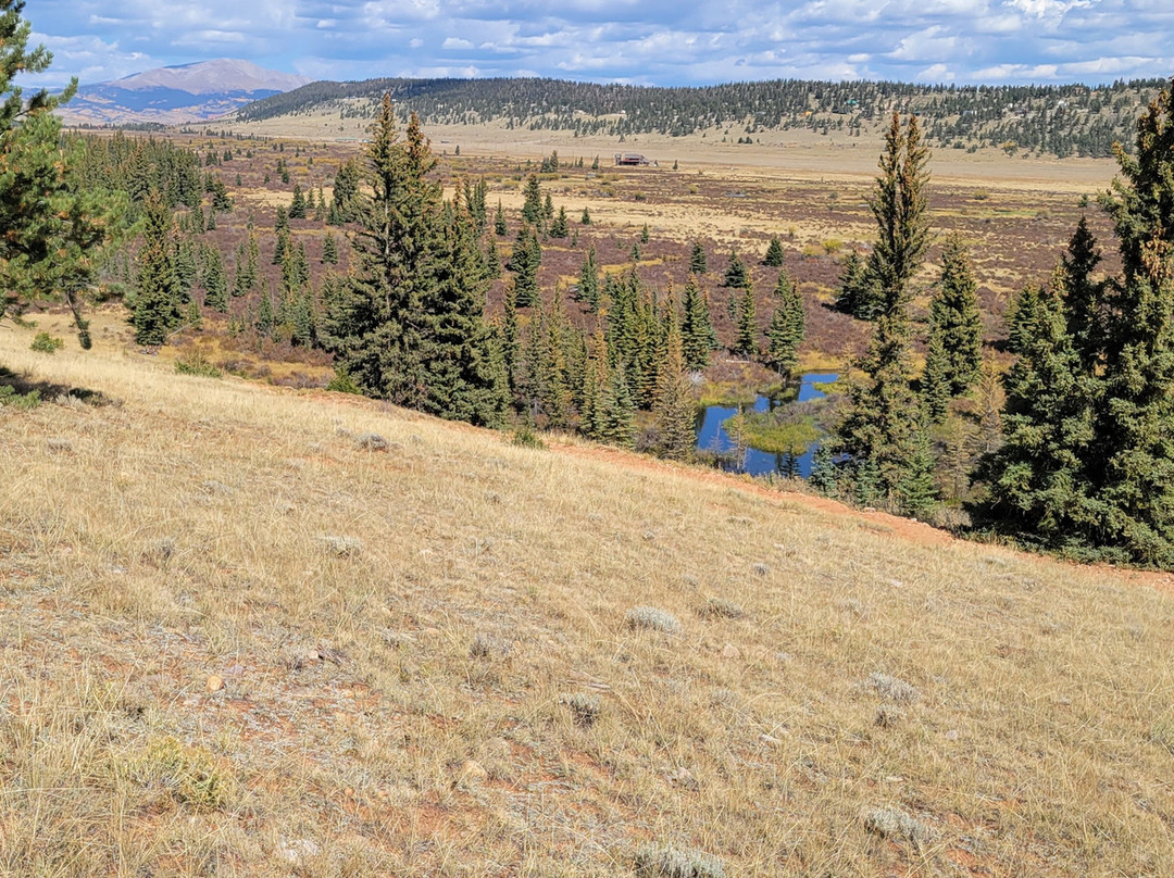 Platte Ranch Riding Stables-Fairplay必去景点