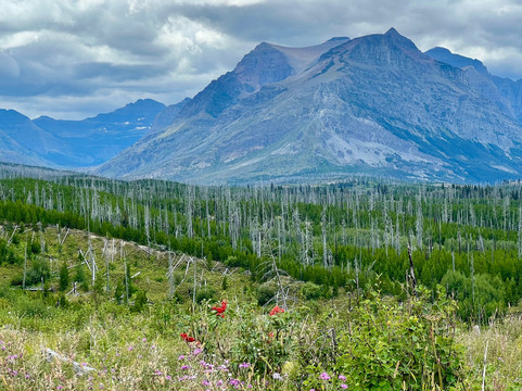 Sun Tours-冰河国家公园必去景点