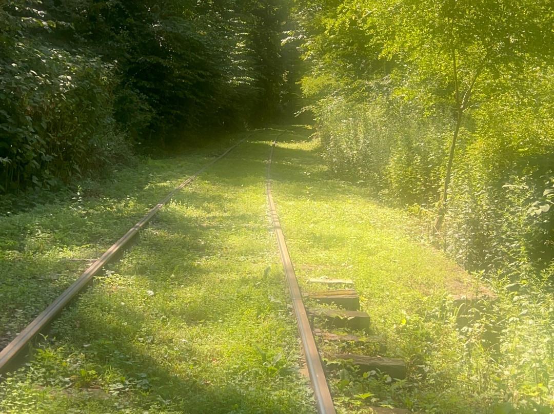 Rail Explorers-Phoenicia必去景点