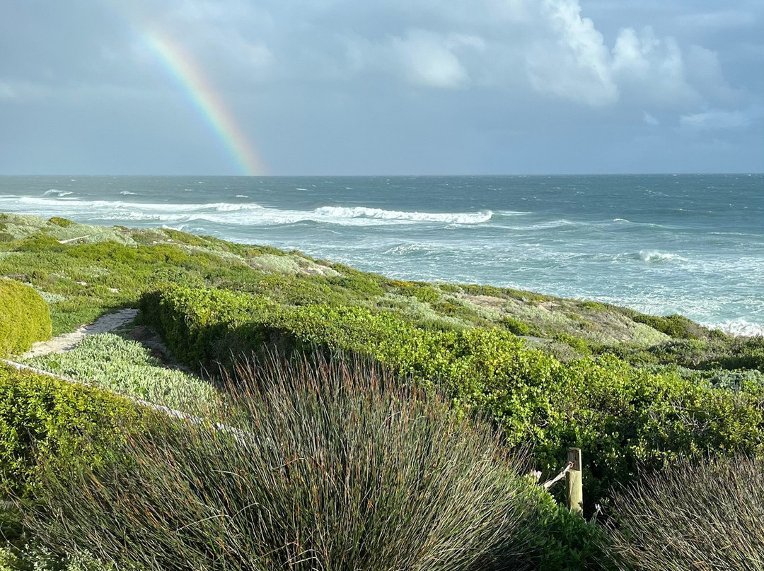 The Olive Tree Villa主图