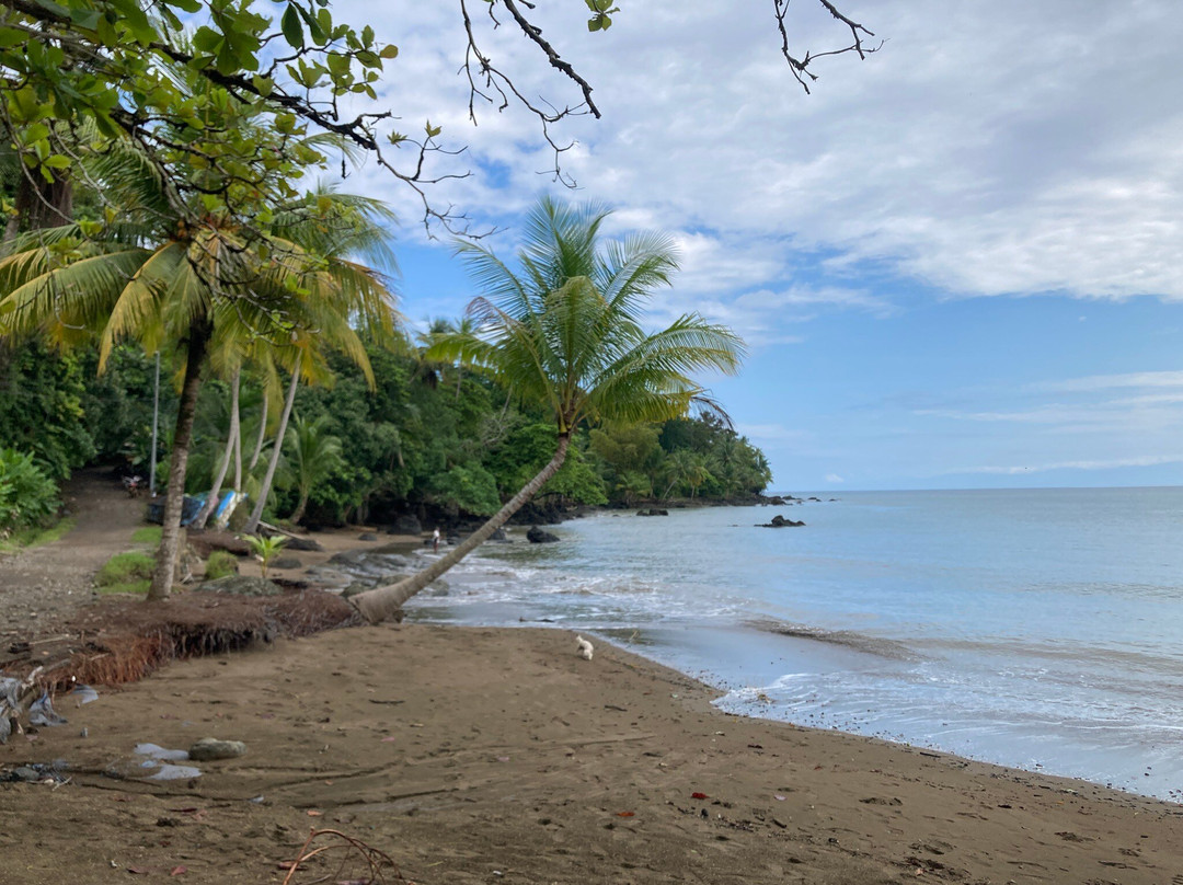 Bahia Drake-德雷克湾必去景点