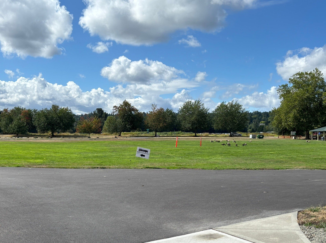 Marymoor Park-雷德蒙德必去景点