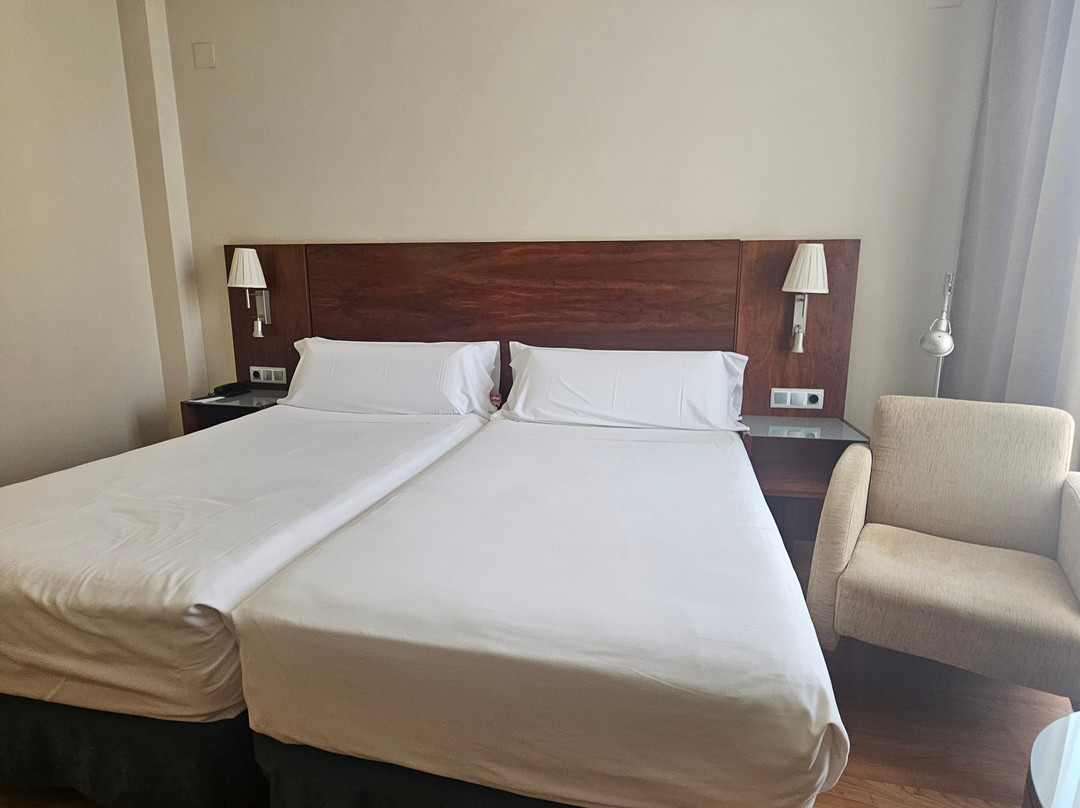 Sercotel Los Llanos主图