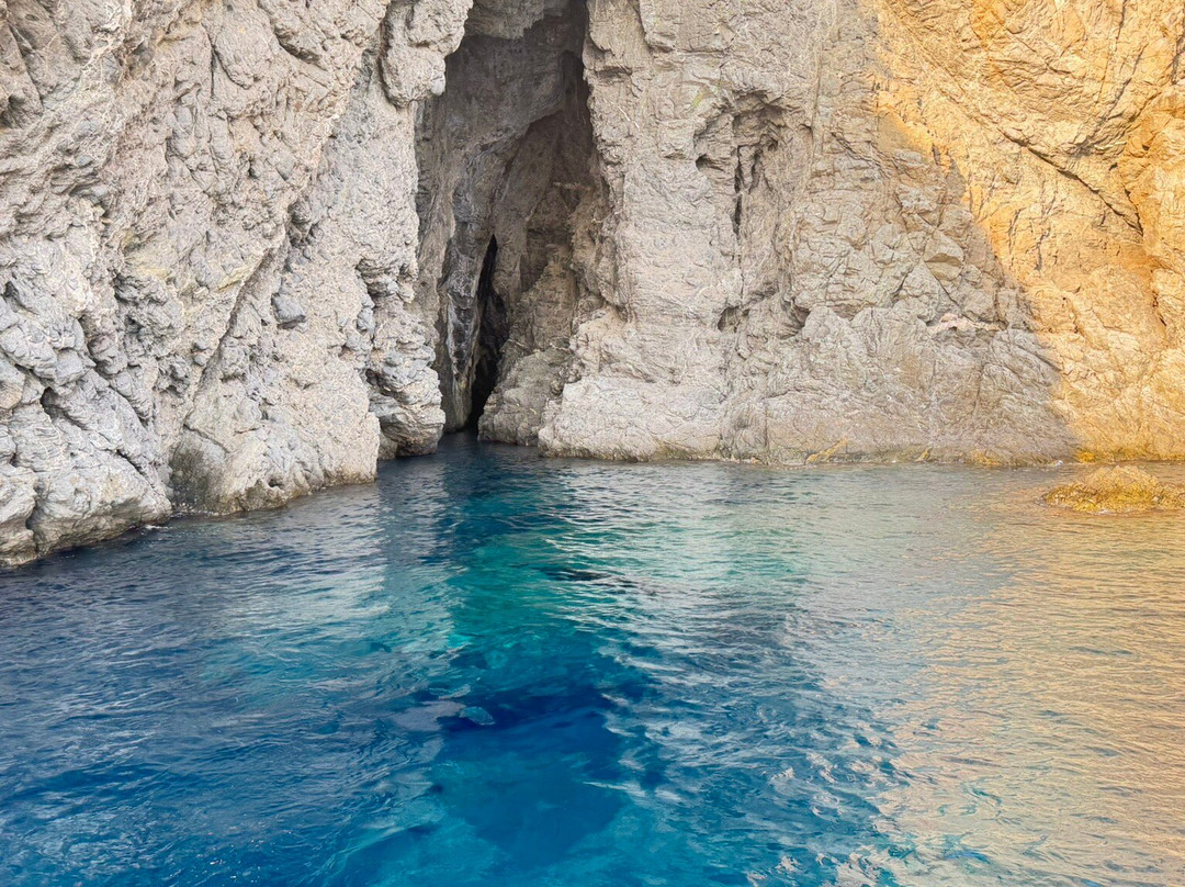 Pink Tour Costa Viola escursioni in barca (Cava Janculla-grotta delle Rondini)-Bagnara Calabra必去景点