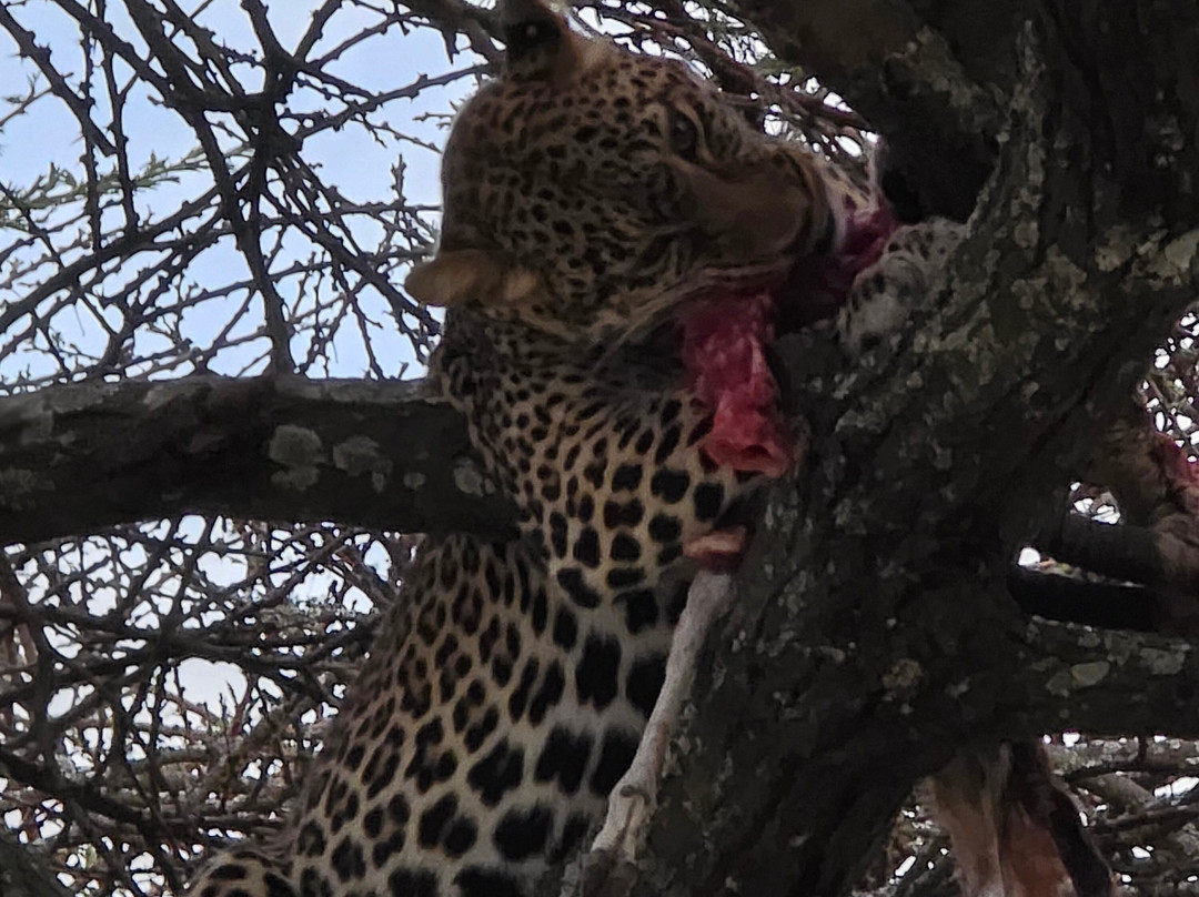 AfrikaKukaye Tours and Safaris-莫西必去景点