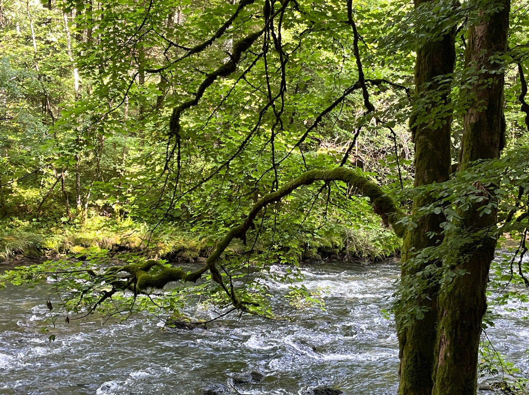 Grottes de Vallorbe-Vallorbe必去景点