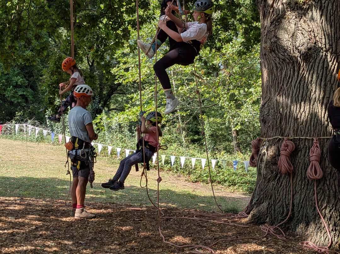 Goodleaf Tree Climbing-赖德必去景点