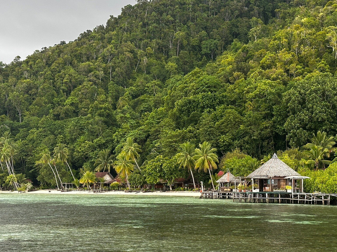 拉贾安姆葩特潜水小屋酒店主图