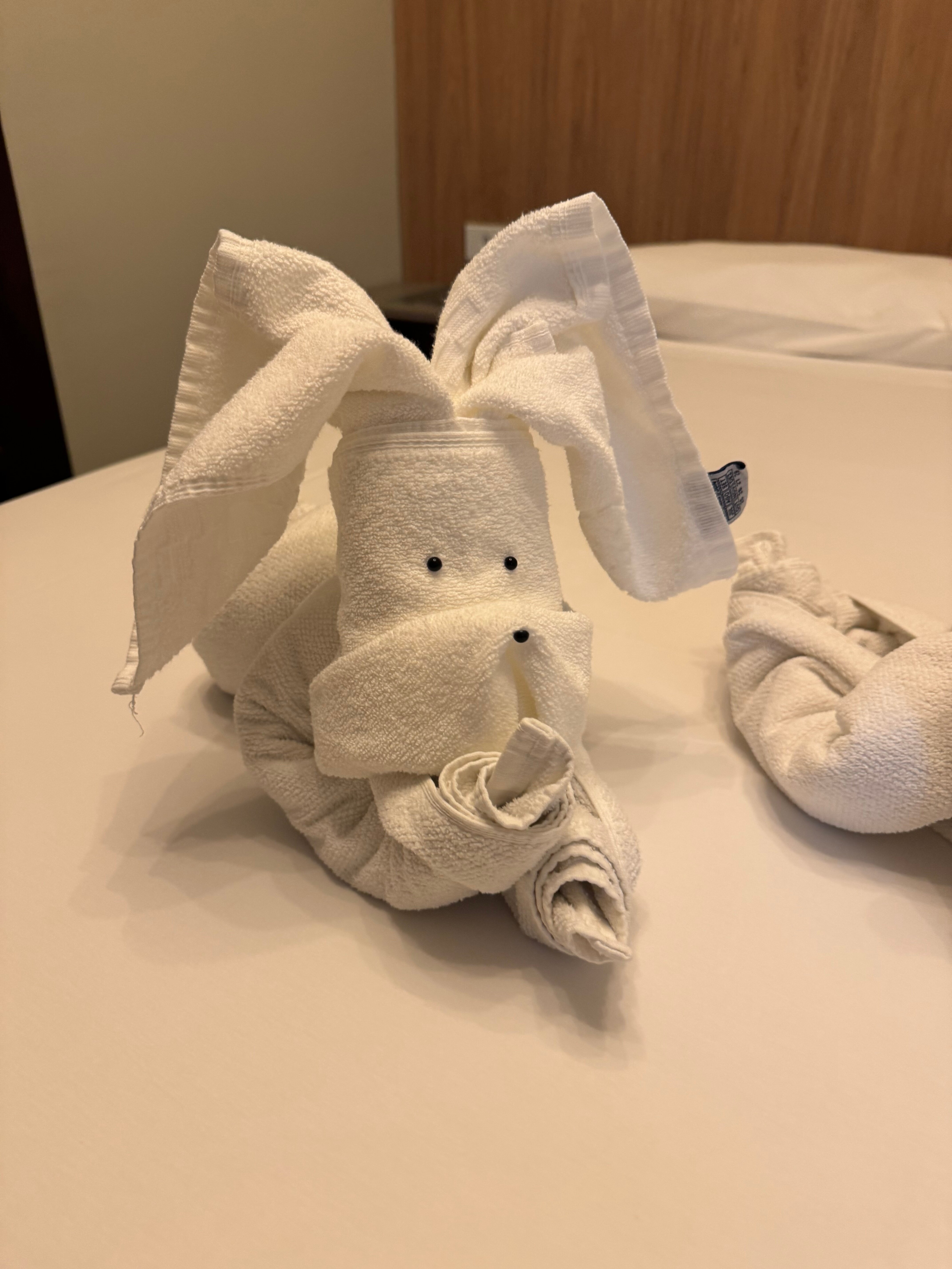 Ubatuba Eco Hotel-客卧
