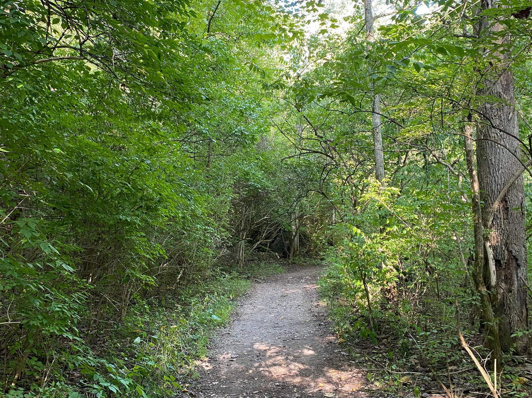 John Bryan State Park-Yellow Springs必去景点