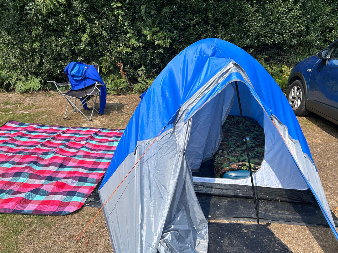 The Hare And Hounds主图