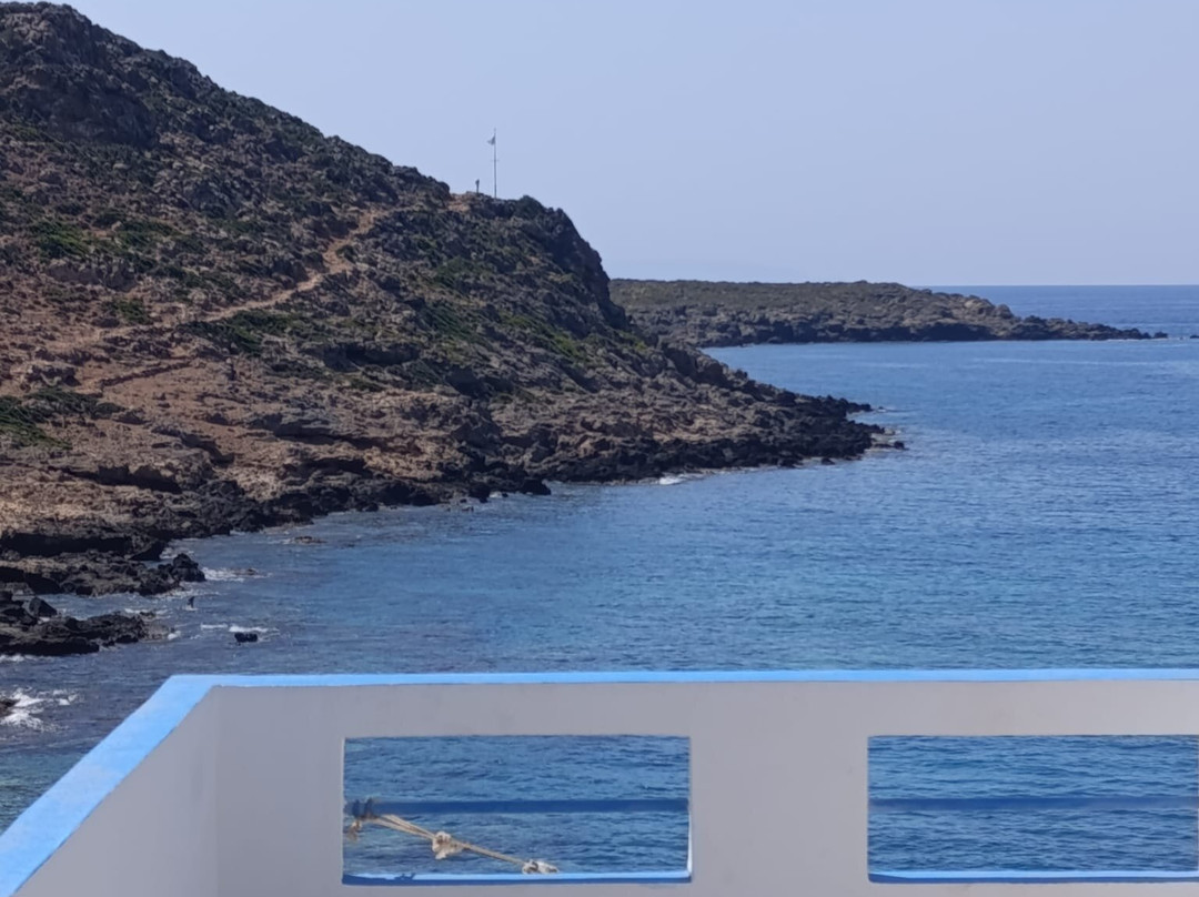 The Old Phoenix主图