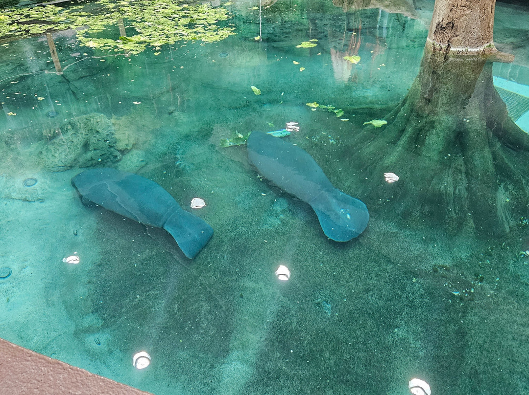 The Bishop Museum Of Science And Nature-布雷登顿必去景点