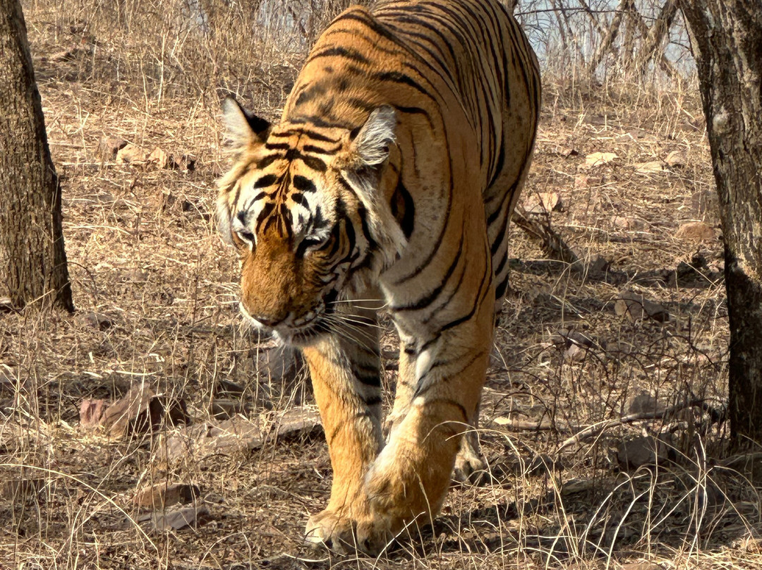 Active India Holidays-新德里必去景点