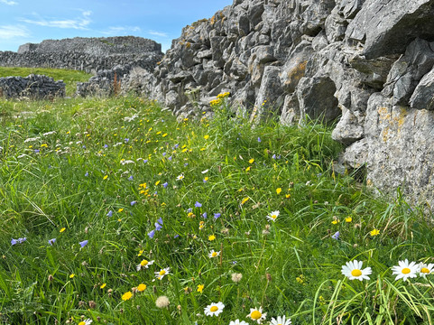 Cois Cuain Bed & Breakfast主图