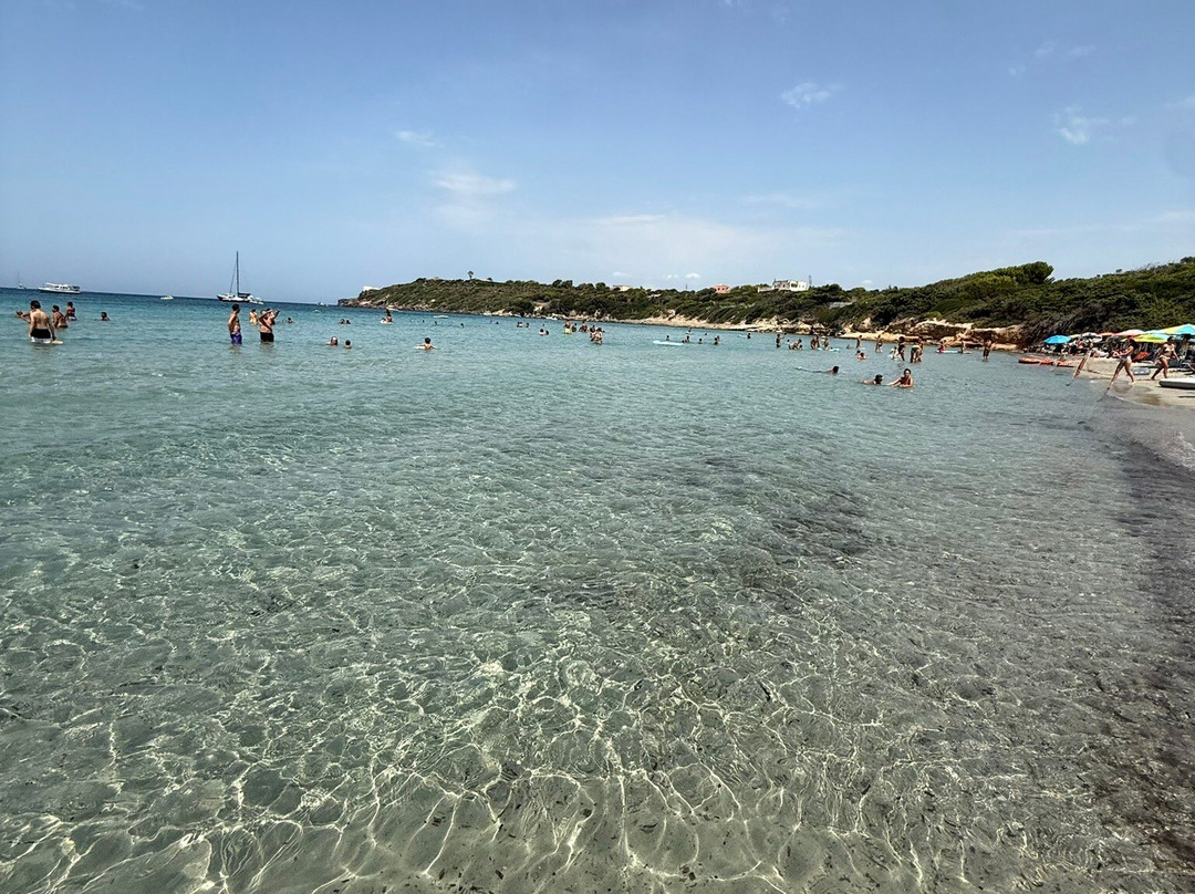 Spiaggia delle Saline-Calasetta必去景点