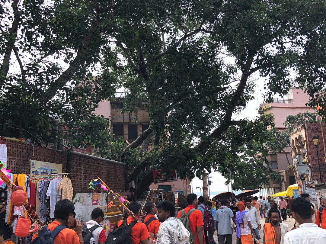 Varanasi Voyages Tours & Travels-瓦拉纳西必去景点