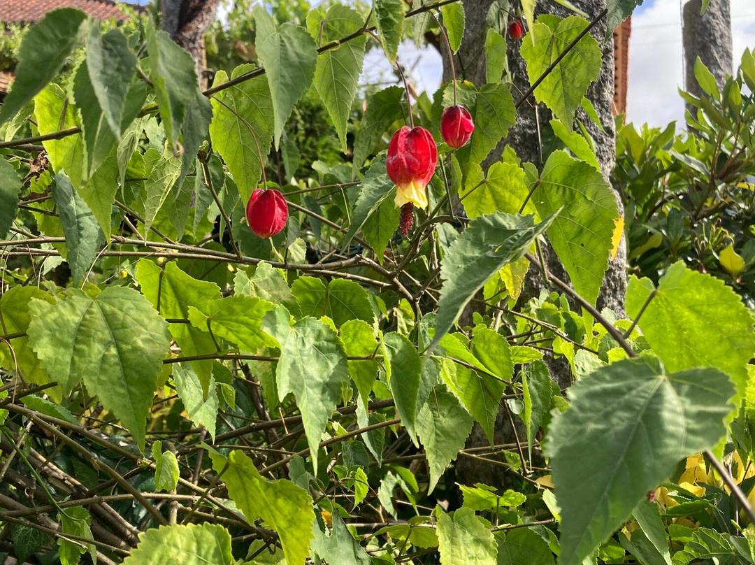 Quinta Travessa主图