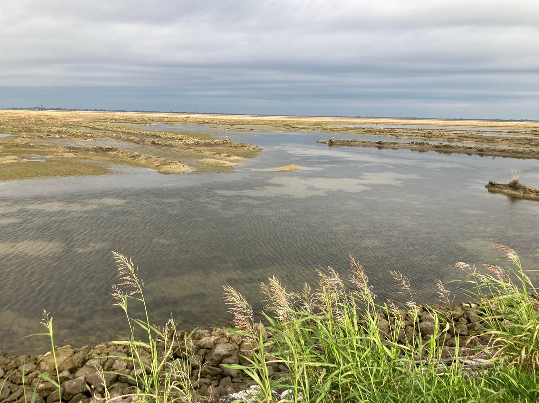 Lio Piccolo-卡瓦利诺-特雷波尔蒂必去景点