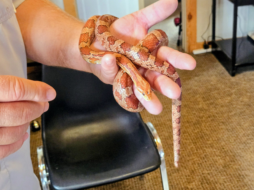 Zootah At Willow Park-洛根必去景点