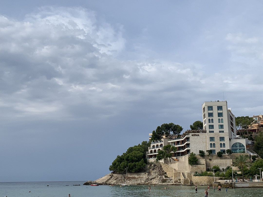 Playa Palmira-帕格拉必去景点