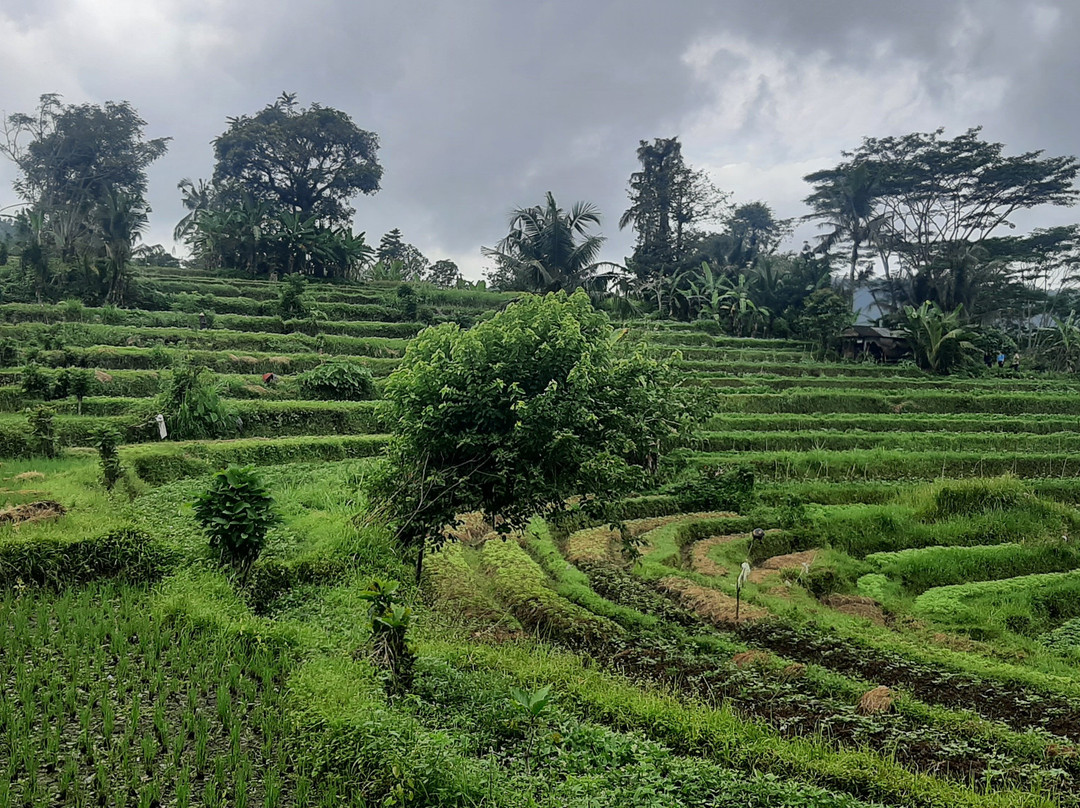 Visit Sidemen-席德门必去景点