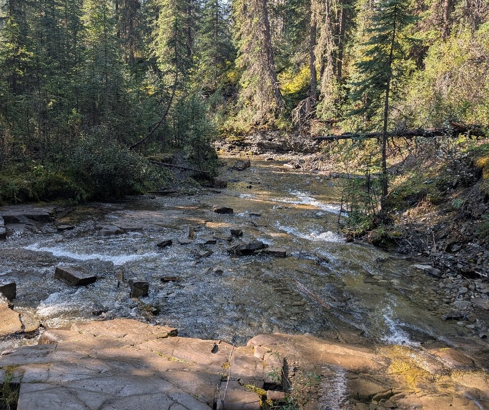 Crescent Falls Provincial Recreation Area-Clearwater County必去景点