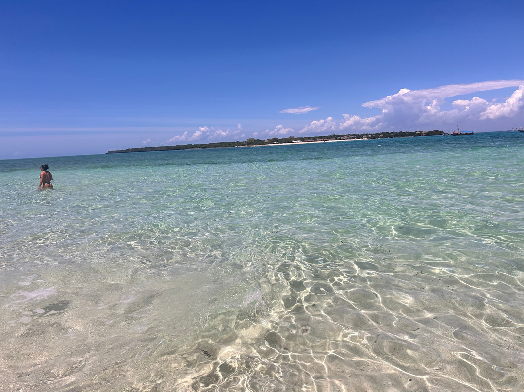 Jumanji Private Tours Zanzibar-Kidoti必去景点