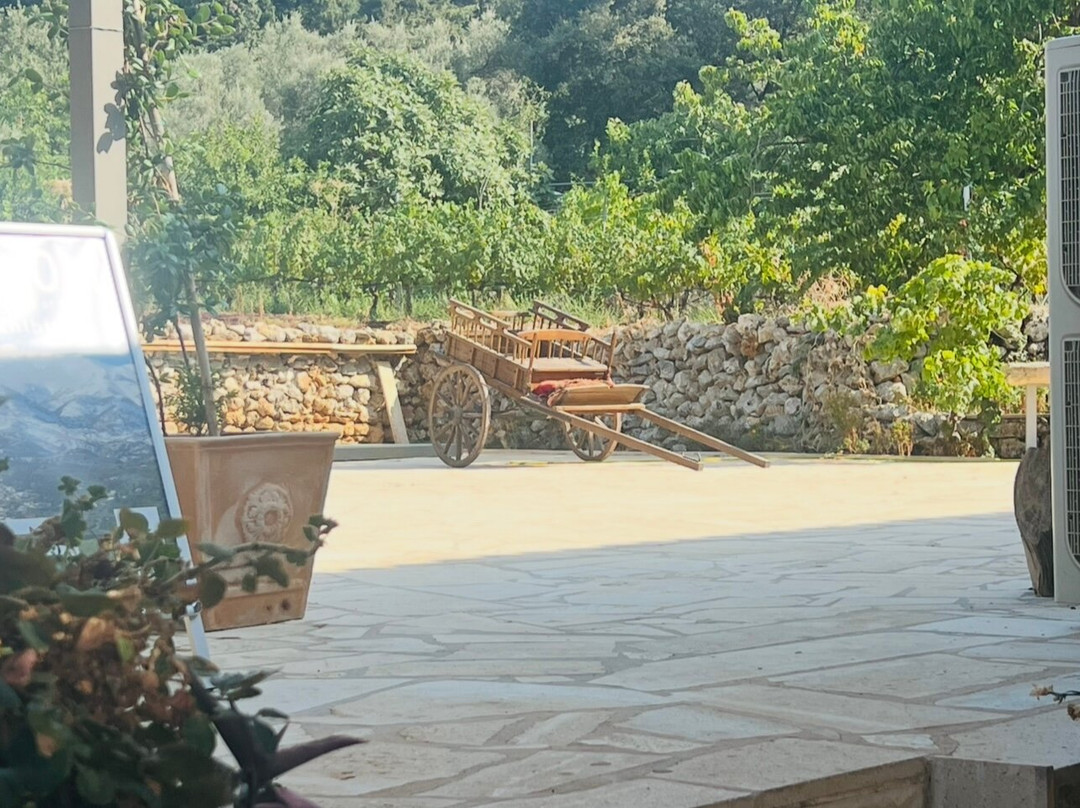 Winery Dourakis-Alikampos必去景点