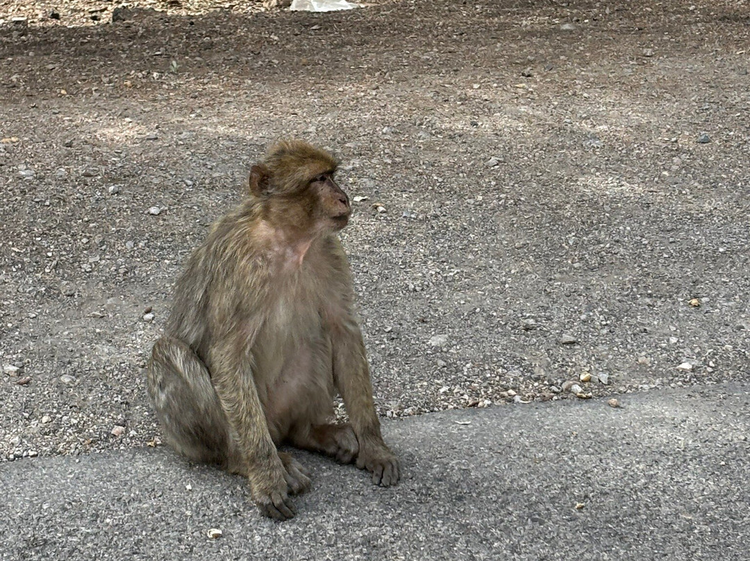 Morocco Arukikata Private Tours-舍夫沙万必去景点